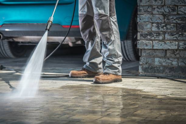 Best Pre-Holiday Cleaning  in Oneida, NY