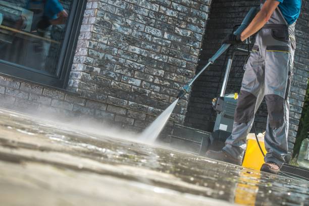 Best Animal Enclosure Cleaning  in Oneida, NY